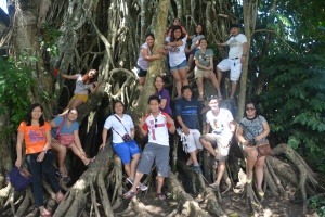 The centenial Balete tree.... Look how big the roots